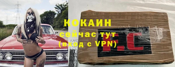 соль ск Алексин