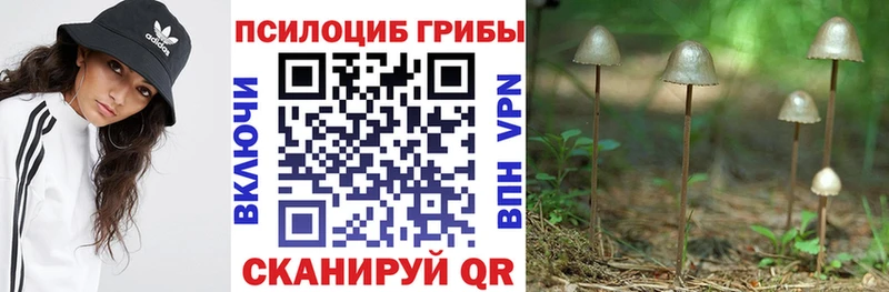 продажа наркотиков  Трёхгорный  Галлюциногенные грибы Psilocybe 